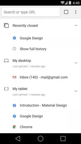Chrome Canary скриншот 4