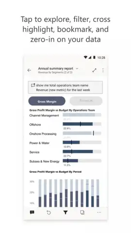 Microsoft Power BI скриншот 3