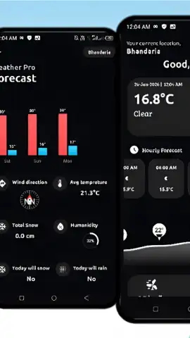 Weather Pro скриншот 1