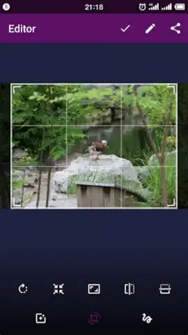 Smart Gallery - Photo Manager скриншот 4