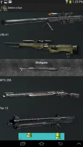 Gun Camera скриншот 3