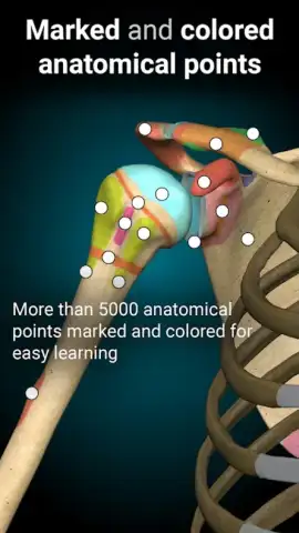 3D Anatomy Learning скриншот 7