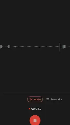 Google Recorder скриншот 4