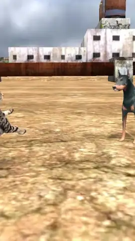 HomelessCat скриншот 5
