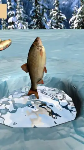 Winter Fishing 3D скриншот 6