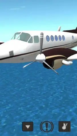 Flight Simulator скриншот 2
