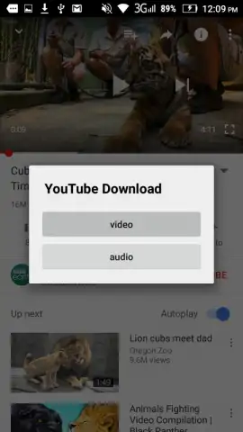 YouTube Download скриншот 2