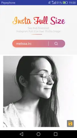 InstaFullSize скриншот 2