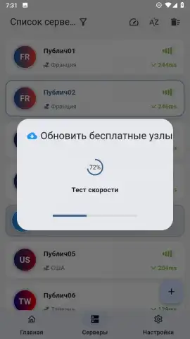 ZipVPN скриншот 5