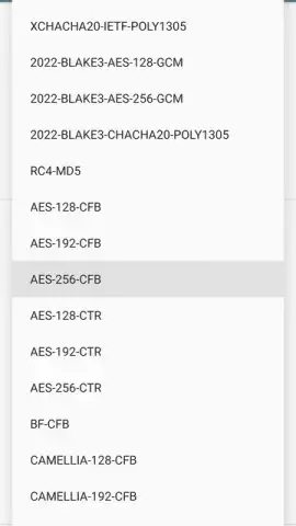 Shadowsocks скриншот 22