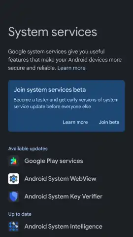 Google Mobile Services (GMS) скриншот 4