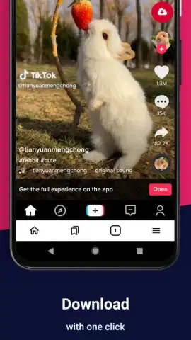 Video Downloader скриншот 1