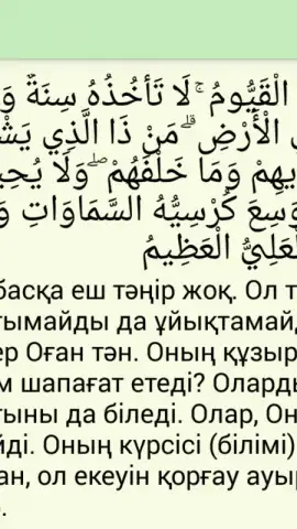 kuran.kz скриншот 9