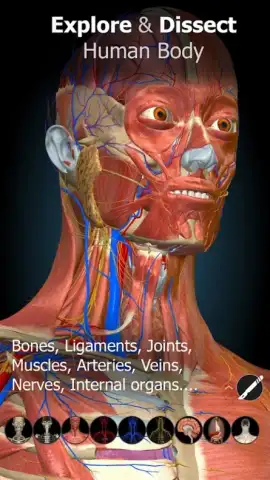 3D Anatomy Learning скриншот 6