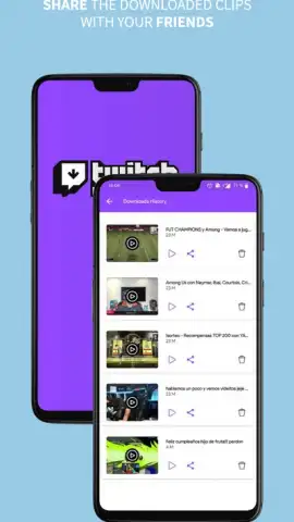 Twitch Downloader скриншот 2