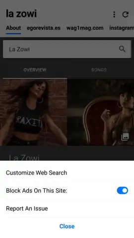 Cake Web Browser скриншот 2