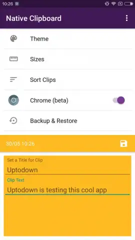 Native Clipboard скриншот 3