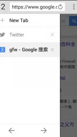 FreeBrowser скриншот 6