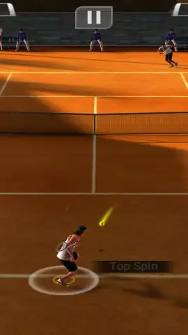 Virtua Tennis Challenge скриншот 4