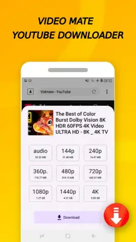 Vidora YouTube Downloader | free & fast скриншот 2