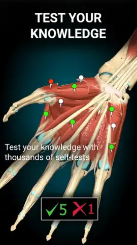 3D Anatomy Learning скриншот 3