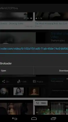 Broloader Video Downloader скриншот 10