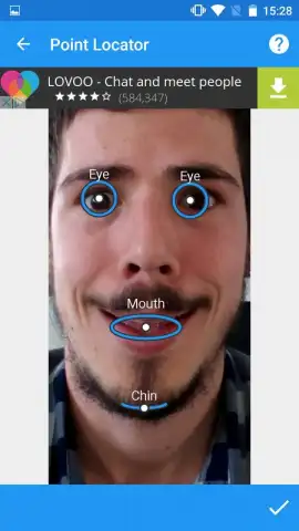FaceSwap скриншот 3