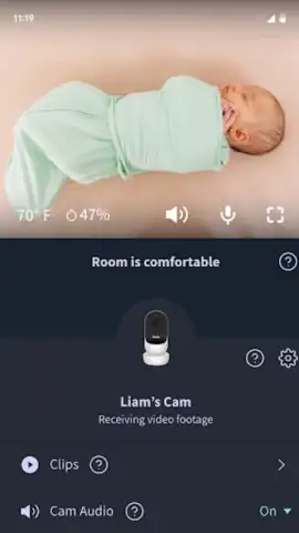 Owlet Dream скриншот 4