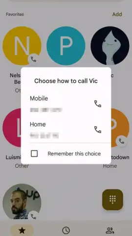 Phone by Google скриншот 1