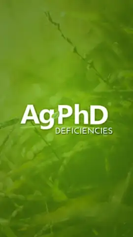 Ag PhD Deficiencies скриншот 3