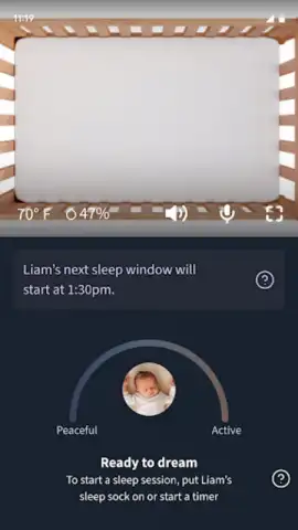 Owlet Dream скриншот 6