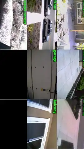 IP Cam Viewer Basic скриншот 3