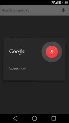 Chrome Beta скриншот 13