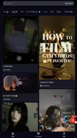 VivaCut скриншот 2