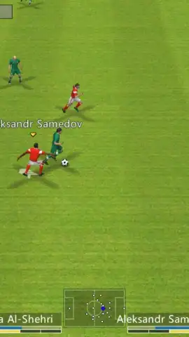 Winner Soccer Evo Elite скриншот 4