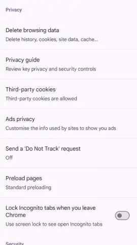 Chrome Beta скриншот 22