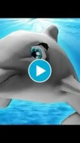 My Dolphin Show скриншот 1