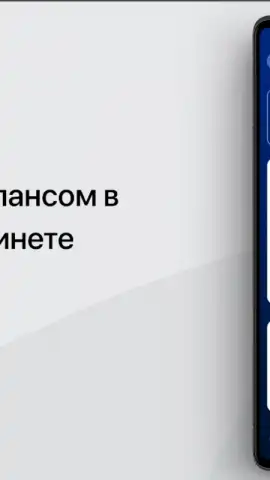 Налоги ФЛ скриншот 2
