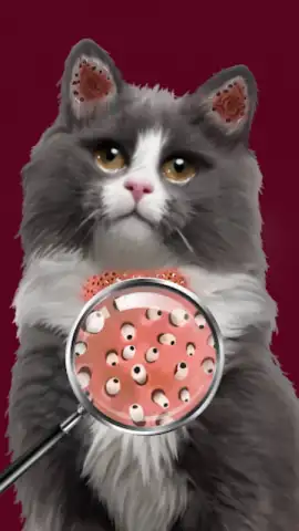 Cat ASMR: Salon Makeover скриншот 1