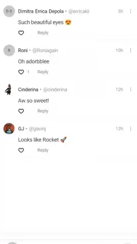 UpScrolled скриншот 8