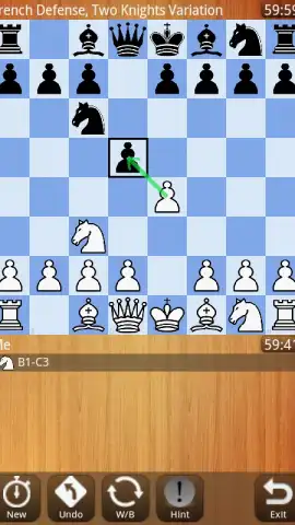 Chess Master скриншот 1