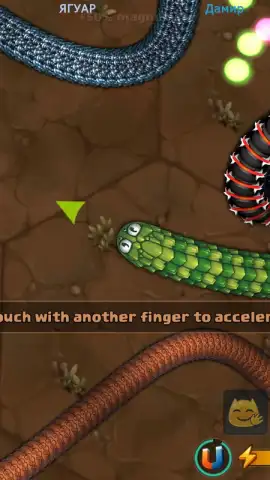 Little Big Snake скриншот 7