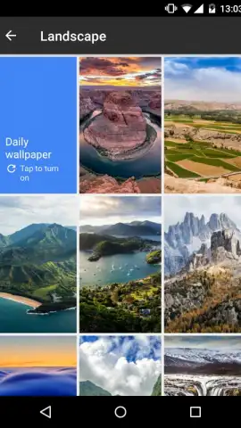 Google Wallpapers скриншот 4