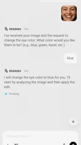 Manus AI скриншот 6