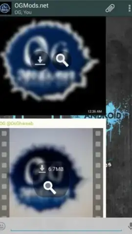 OGWhatsApp скриншот 1