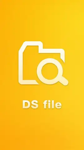 DS file скриншот 2