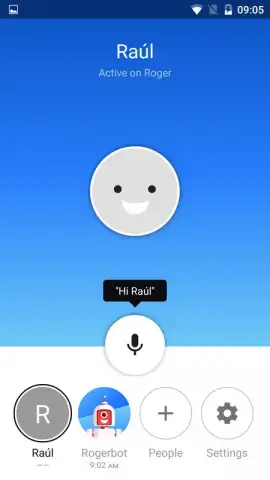 Roger - Voice Conversations скриншот 1