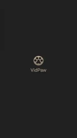 VidPaw App скриншот 3