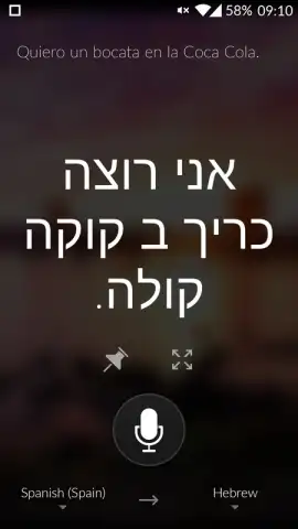 Microsoft Translator скриншот 2