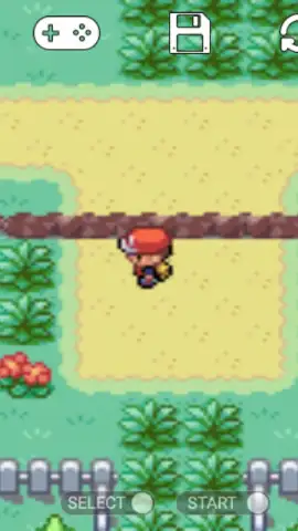 Pokemon Collection скриншот 1